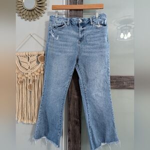 Altar'd State distressed Cropped Jeans Plus Size